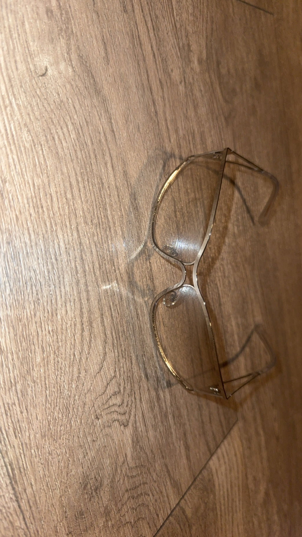 Chrome Theory Sunnies ☀️🕶️🩶